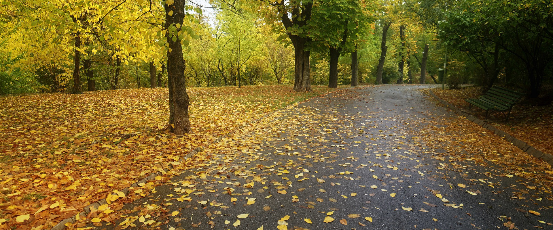 výlet park.jpg