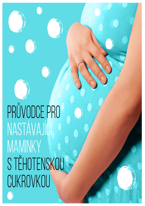 Průvodce pro nastávajícín.png