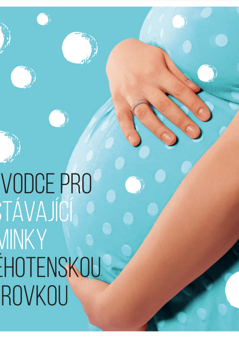 Snímek obrazovky 2024-06-19 161410.png