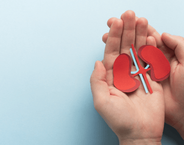 Snímek obrazovky 2026-04-28 093914.png