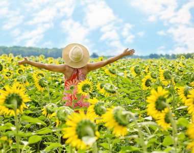 sunflowers-3640938_1920.jpg