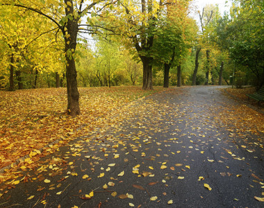 výlet park.jpg