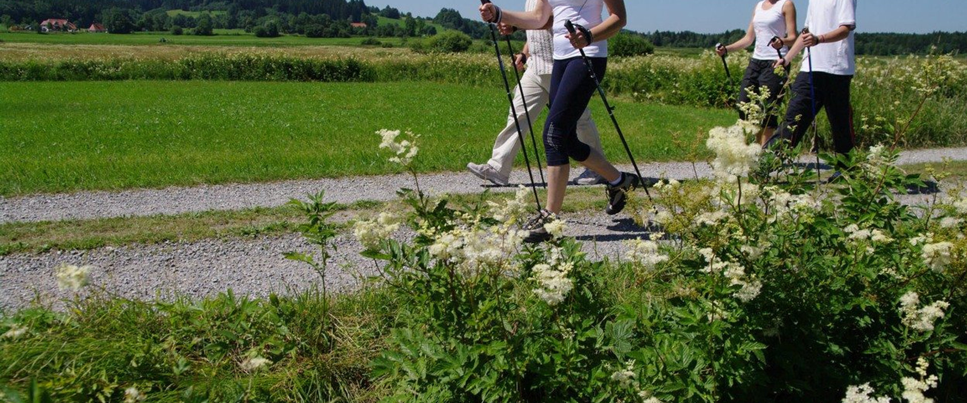 HD_nordic-walking.jpg